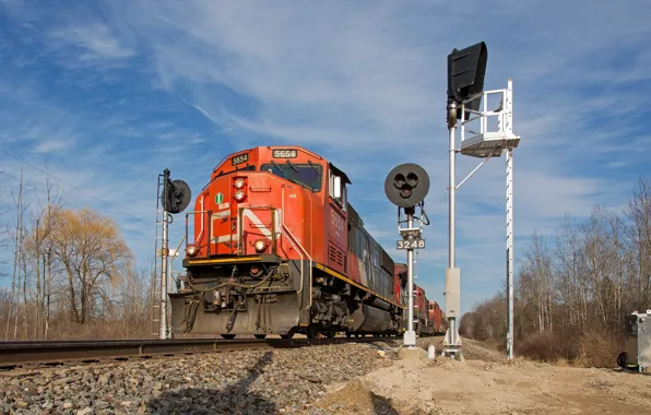 Train, signs, road signs
