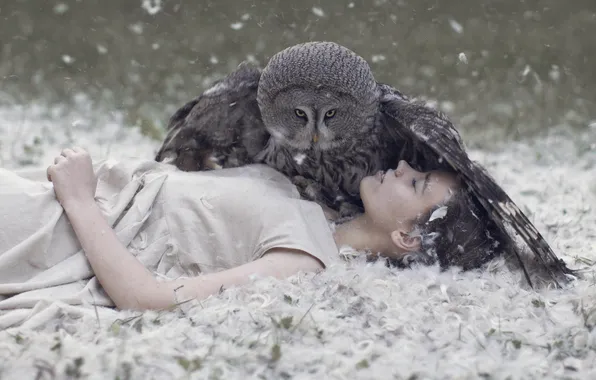 Look, girl, nature, pose, owl, bird, glade, the situation