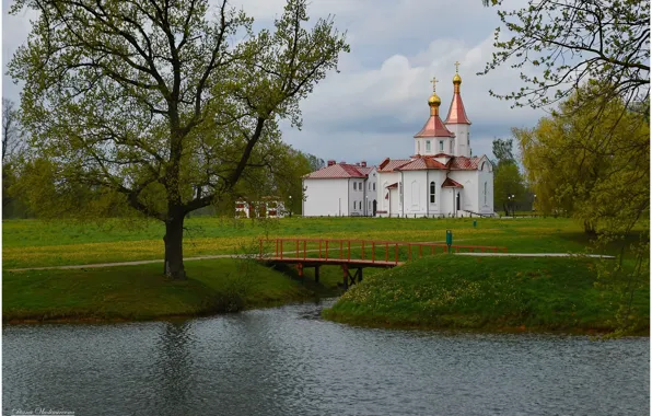 Nature, spring, temple