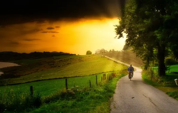 Road, field, forest, grass, rays, light, trees, sunset