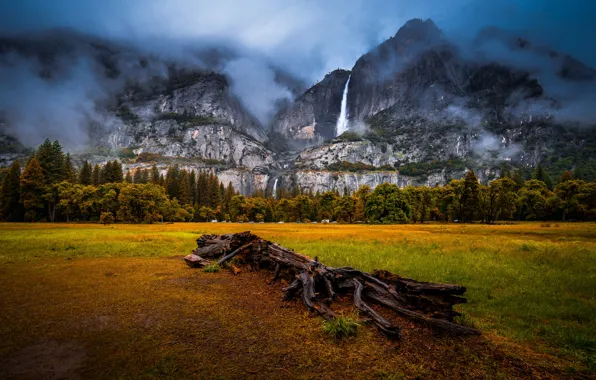 Picture forest, mountains, valley, CA, snag, waterfalls, California, Yosemite national Park