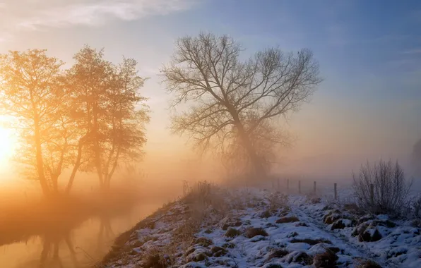 Landscape, fog, river, morning