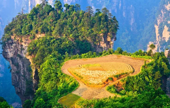 Picture China, forest, trees, field, landscape, nature, mountains, rocks