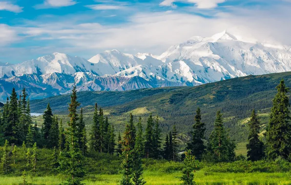 Picture trees, mountains, nature, Alaska, USA