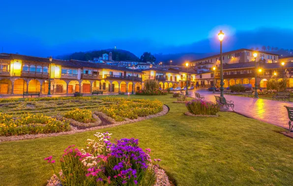 Forest, landscape, flowers, mountains, lights, fog, lawn, HDR