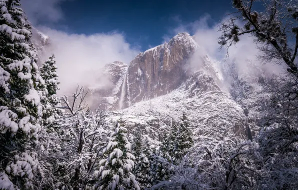 Winter, forest, landscape, nature, fog, rock, mountain, beauty
