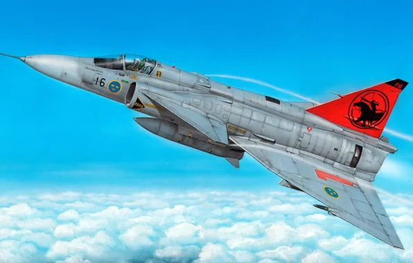 Picture third generation, Swedish multi-role fighter, Can 37, Viggen