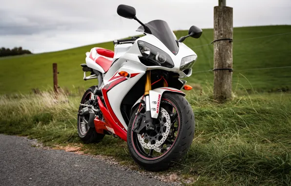 Picture white, grass, yamaha, yzf-r1