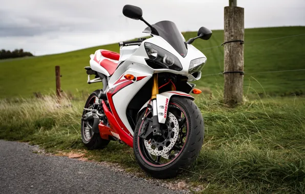 White, grass, yamaha, yzf-r1