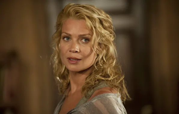 The series, Andrea, The Walking Dead, The walking dead, Laurie Holden, Laurie Holden