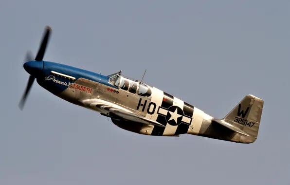 Picture fighter, American, single, far, P-51C Mustang