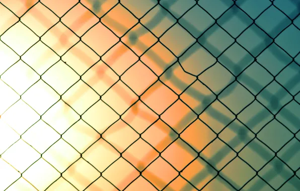 Picture mesh, the fence, wire, shadow