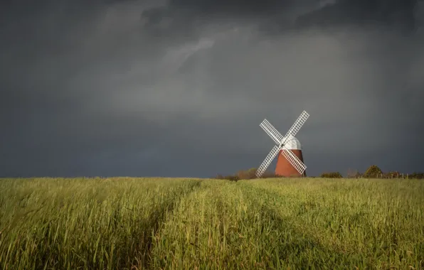 Field, the sky, clouds, overcast, space, ears, cereals, windmill
