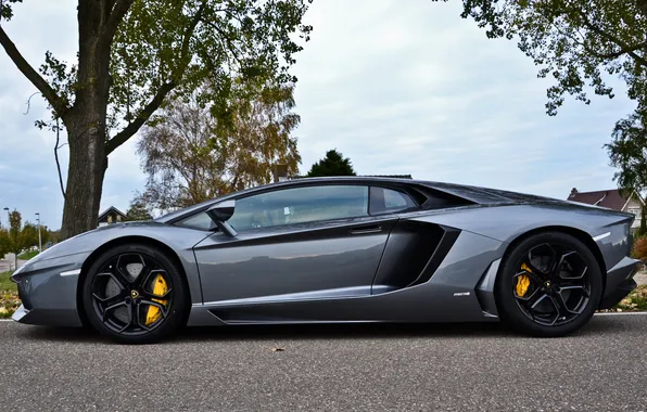 The sky, trees, black, Lamborghini, silver, profile, drives, LP700-4