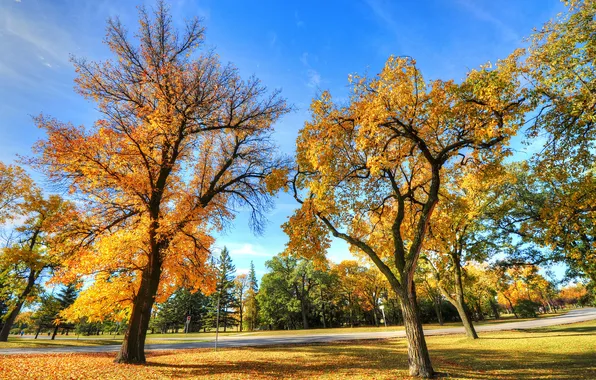 Picture road, autumn, the sky, grass, leaves, trees, Park