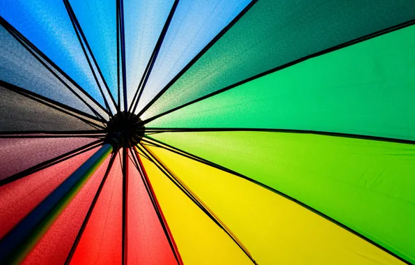Background, color, rainbow, colors, umbrella, colorful, rainbow, umbrella