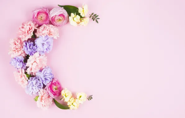 Leaves, flowers, background, pink, roses, buds, fresh, pink