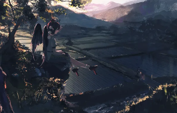 Path, traveler, Aya Shameimaru, rice fields, black wings, Touhou Project, Project East, summer evening