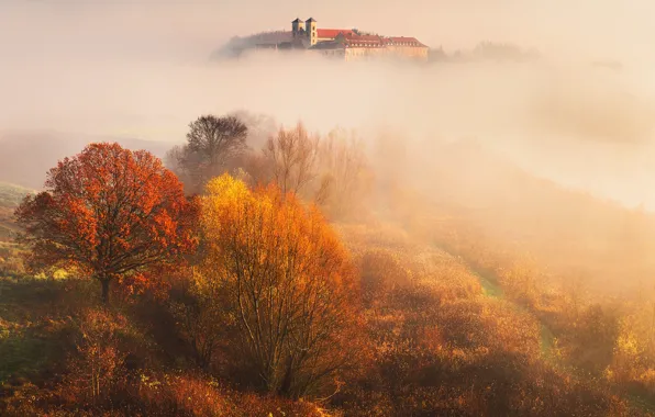 Picture autumn, leaves, trees, fog, Nature, Bieganski Patrick