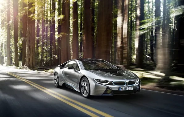Picture car, auto, forest, BMW, in motion, BMW i8