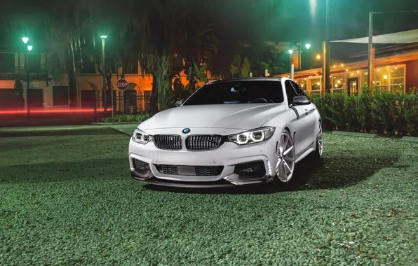 Picture BMW, Car, Grass, Green, Front, White, Series, Sport