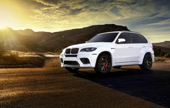 Picture BMW, white, wheels, tuning, X5M, frontside