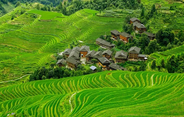 Picture mountains, home, slope, village, China, terrace