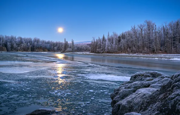 Picture winter, forest, snow, shore, pond