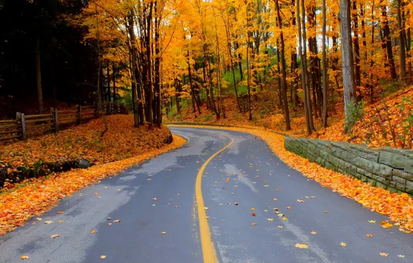 Road, autumn, forest, leaves, trees, nature, Park, colors