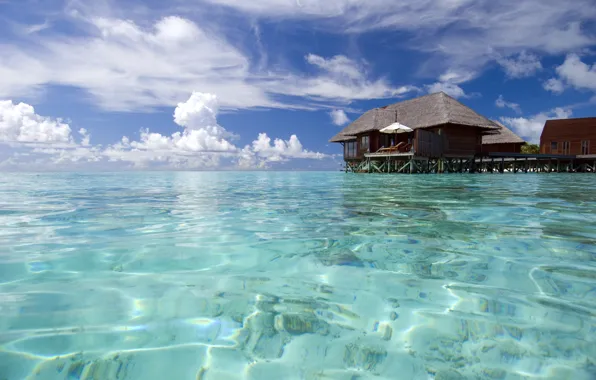 Nature, the ocean, stay, relax, The Maldives, exotic, islands Maldives