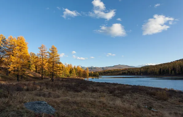 Picture autumn, Lake, Altay, Cicely