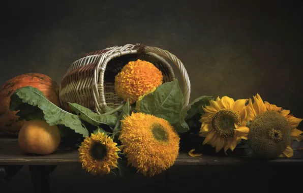 Orange, sunflower, pumpkin, marigolds
