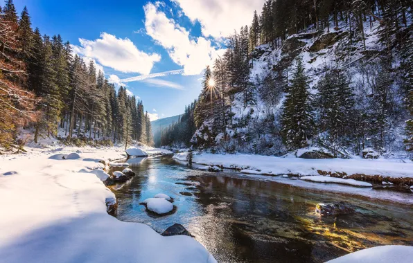 Picture the sun, clouds, snow, trees, river