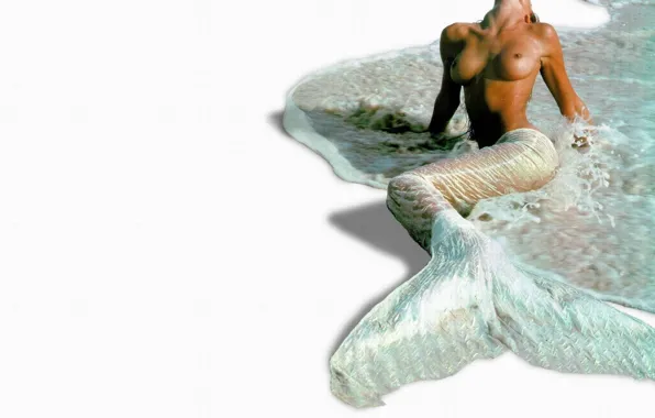 Chest, wave, Mermaid