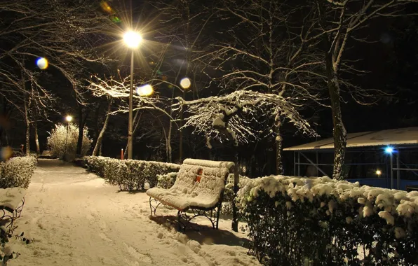 Picture winter, light, snow, trees, bench, the evening