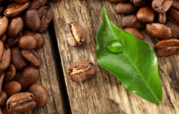 Picture table, drop, coffee, leaf, grain
