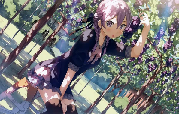 Vineyard, schoolgirl, sitting on a chair, in the shadows, lilac hair, bunch of grapes, by …