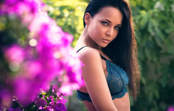 Chest, girl, Giovanni Zacche, Angelina Petrova, Absolute Power