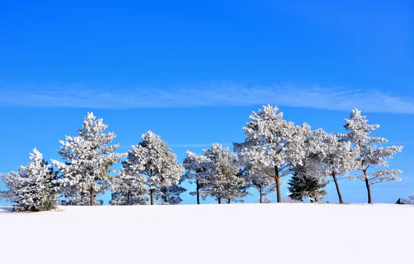 Winter, the sky, snow, trees, hill