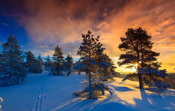 Picture winter, snow, frost, Norway, and the sun, Naglestadheia, a wonderful day