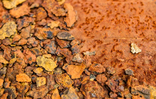 Picture background, texture, rust