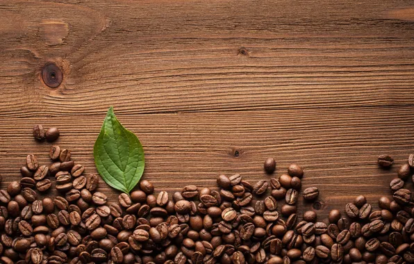 Picture leaves, Board, texture, coffee beans