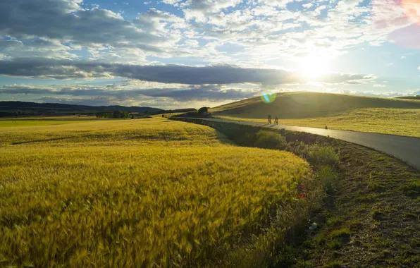 Nature, Field, cyclists