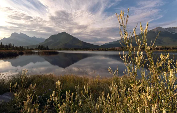 Summer, mountains, lake, reflection