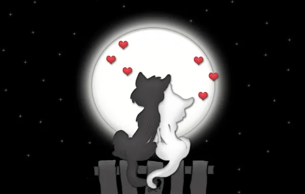Picture love, cats, night, the moon