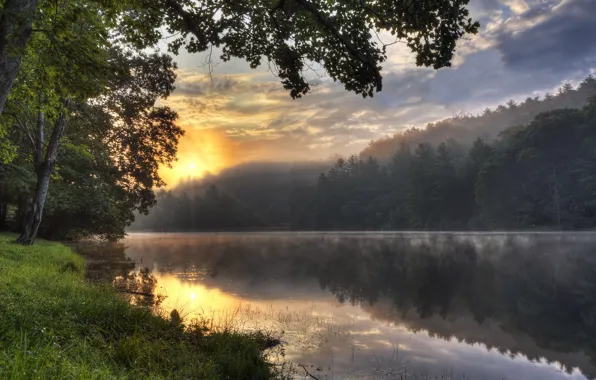 Sunset, nature, fog, river