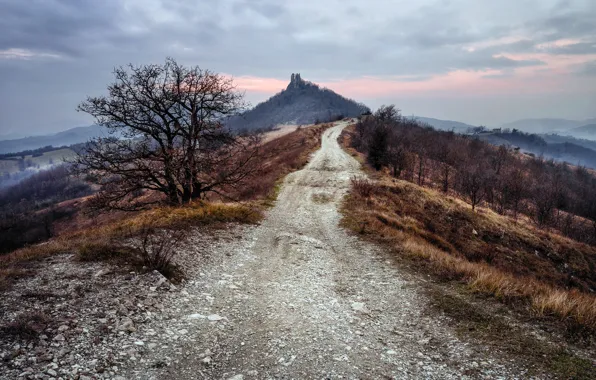 Emilia-Romagna, Roccalanzona, Medesano