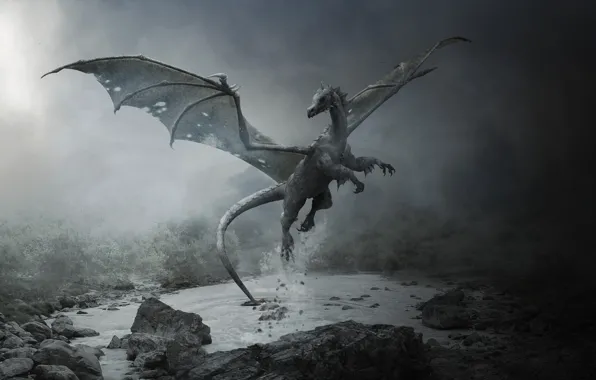 Mediocrity, dragon, twilight