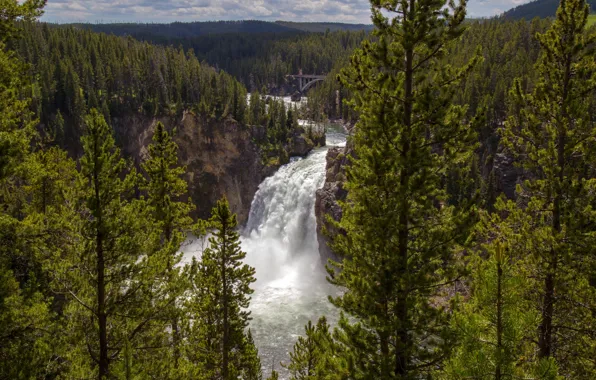 Forest, trees, river, waterfall, Wyoming, panorama, Wyoming, Grand Canyon