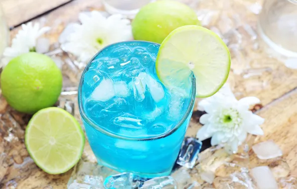 Ice, cocktail, lime, branches, chrysanthemum